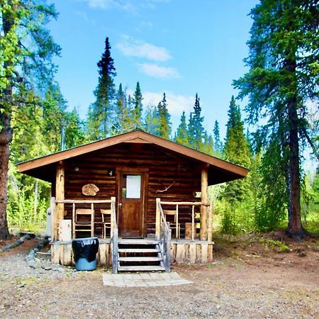 Villa Carlo Creek Cabins Denali Park Exterior foto