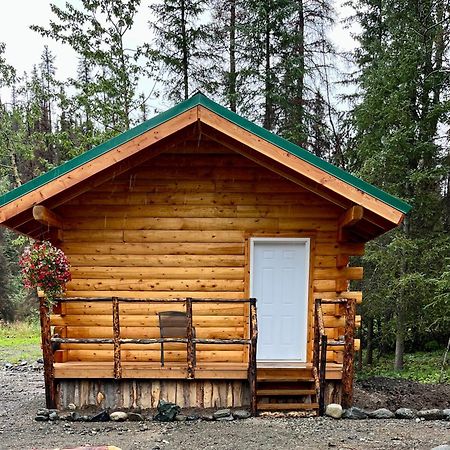 Villa Carlo Creek Cabins Denali Park Exterior foto