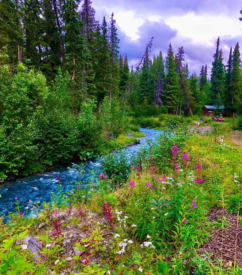 Villa Carlo Creek Cabins Denali Park Exterior foto