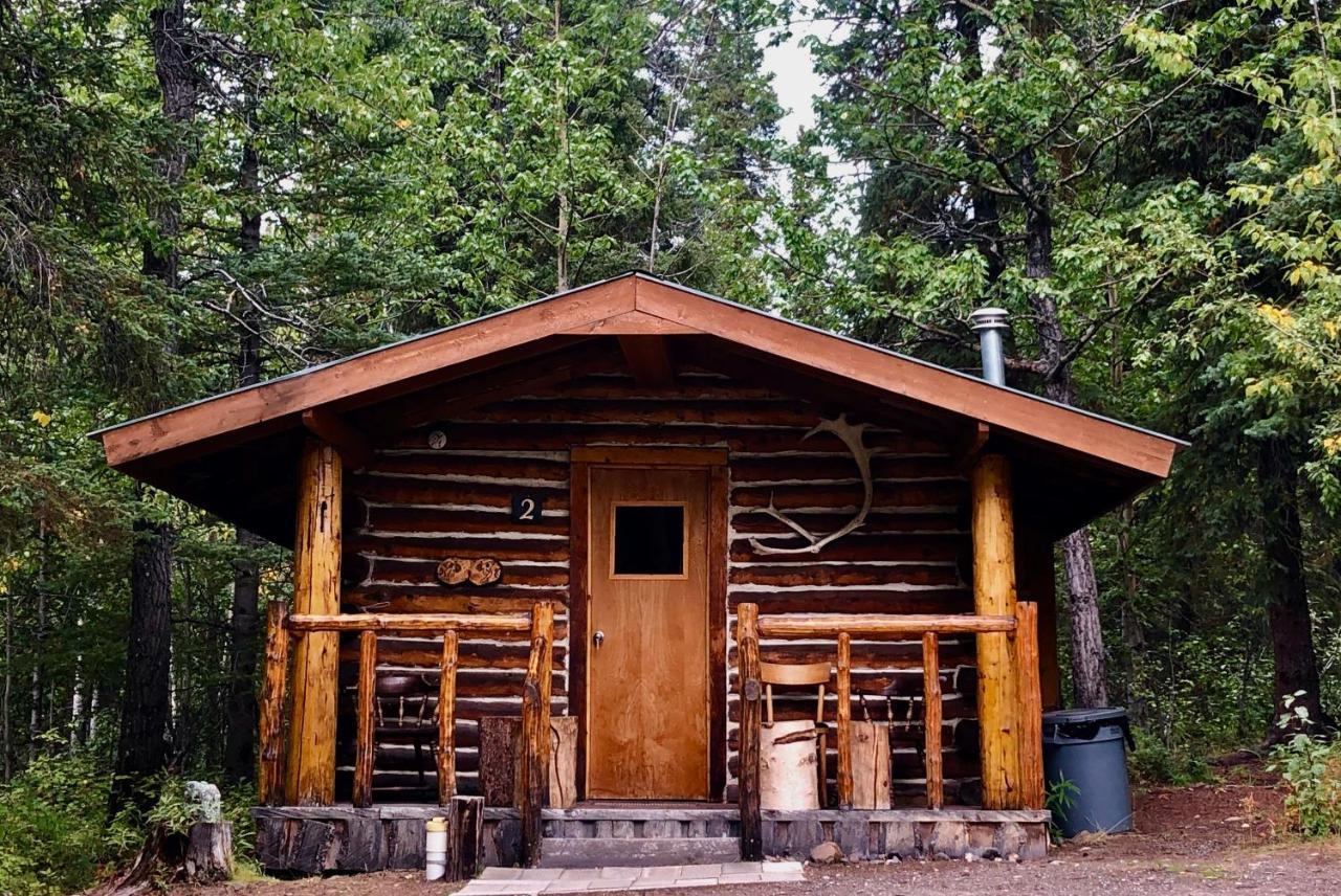 Villa Carlo Creek Cabins Denali Park Exterior foto