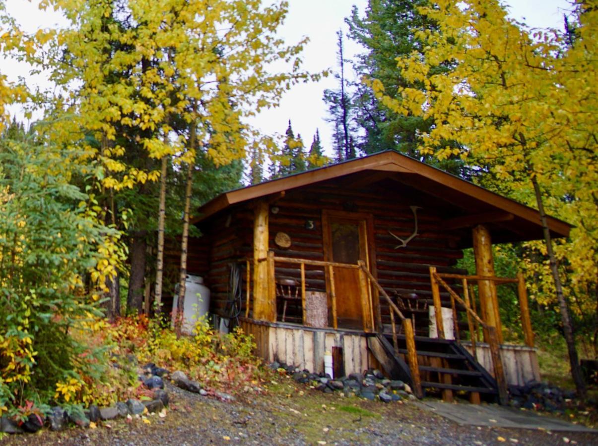 Villa Carlo Creek Cabins Denali Park Exterior foto