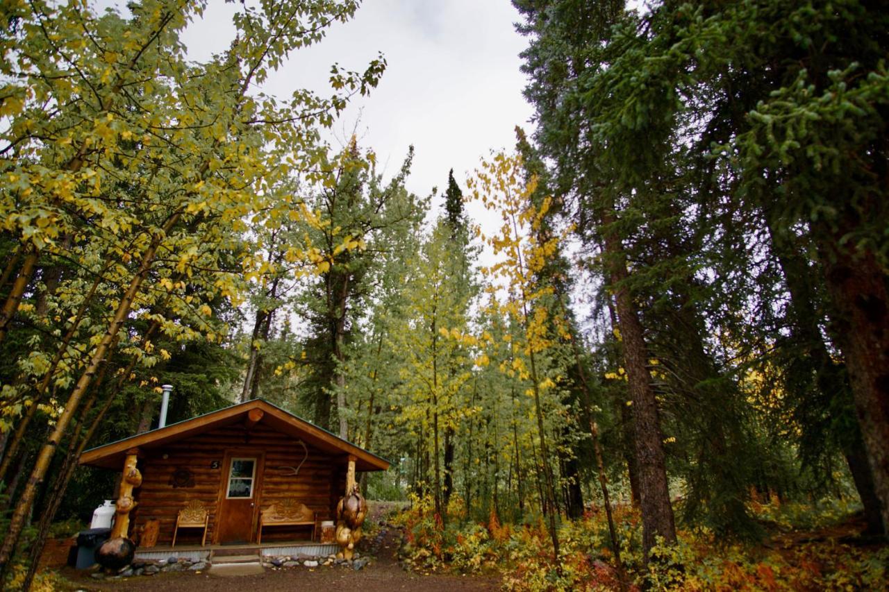 Villa Carlo Creek Cabins Denali Park Exterior foto