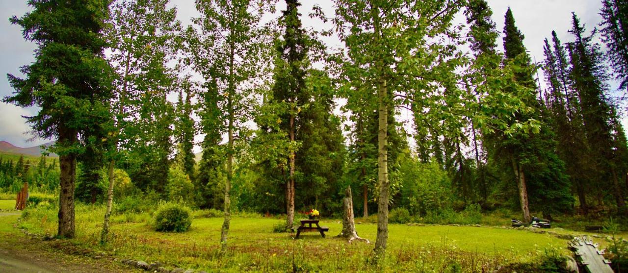 Villa Carlo Creek Cabins Denali Park Exterior foto