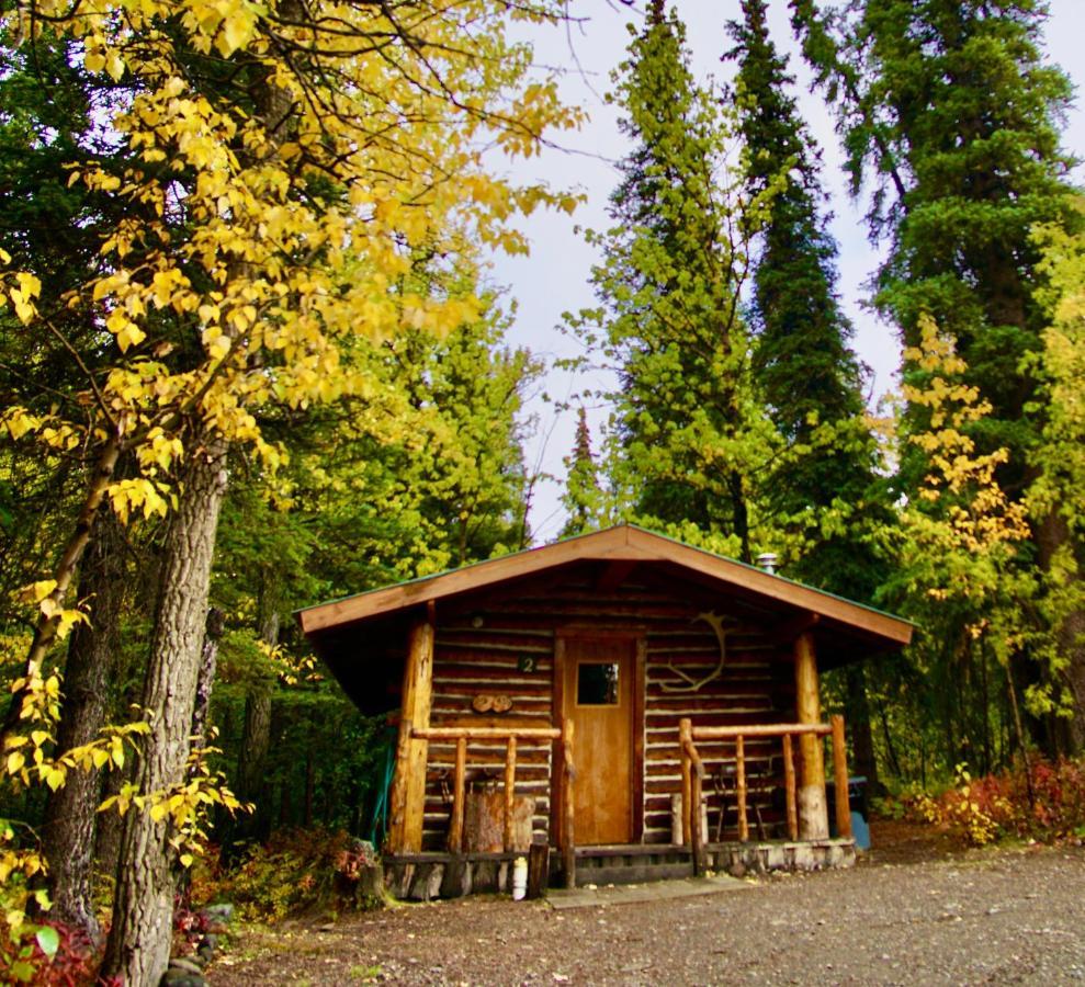 Villa Carlo Creek Cabins Denali Park Exterior foto