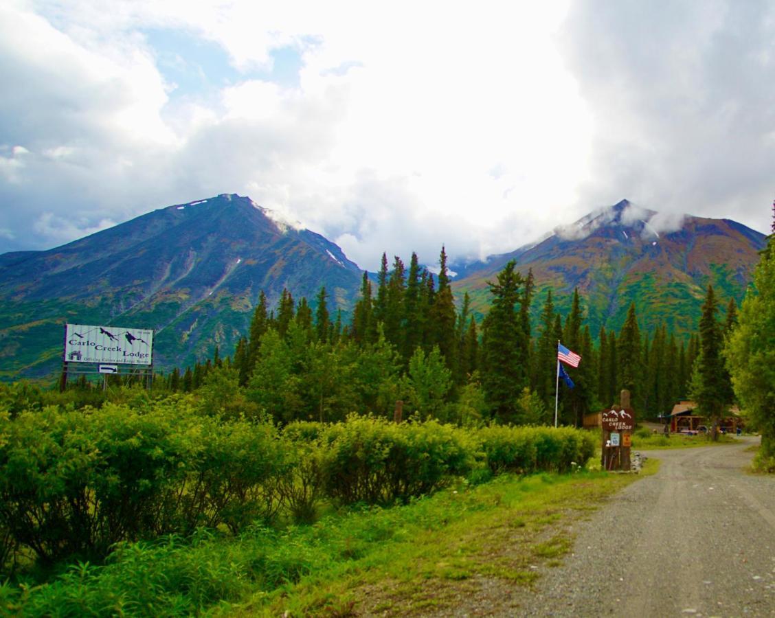 Villa Carlo Creek Cabins Denali Park Exterior foto