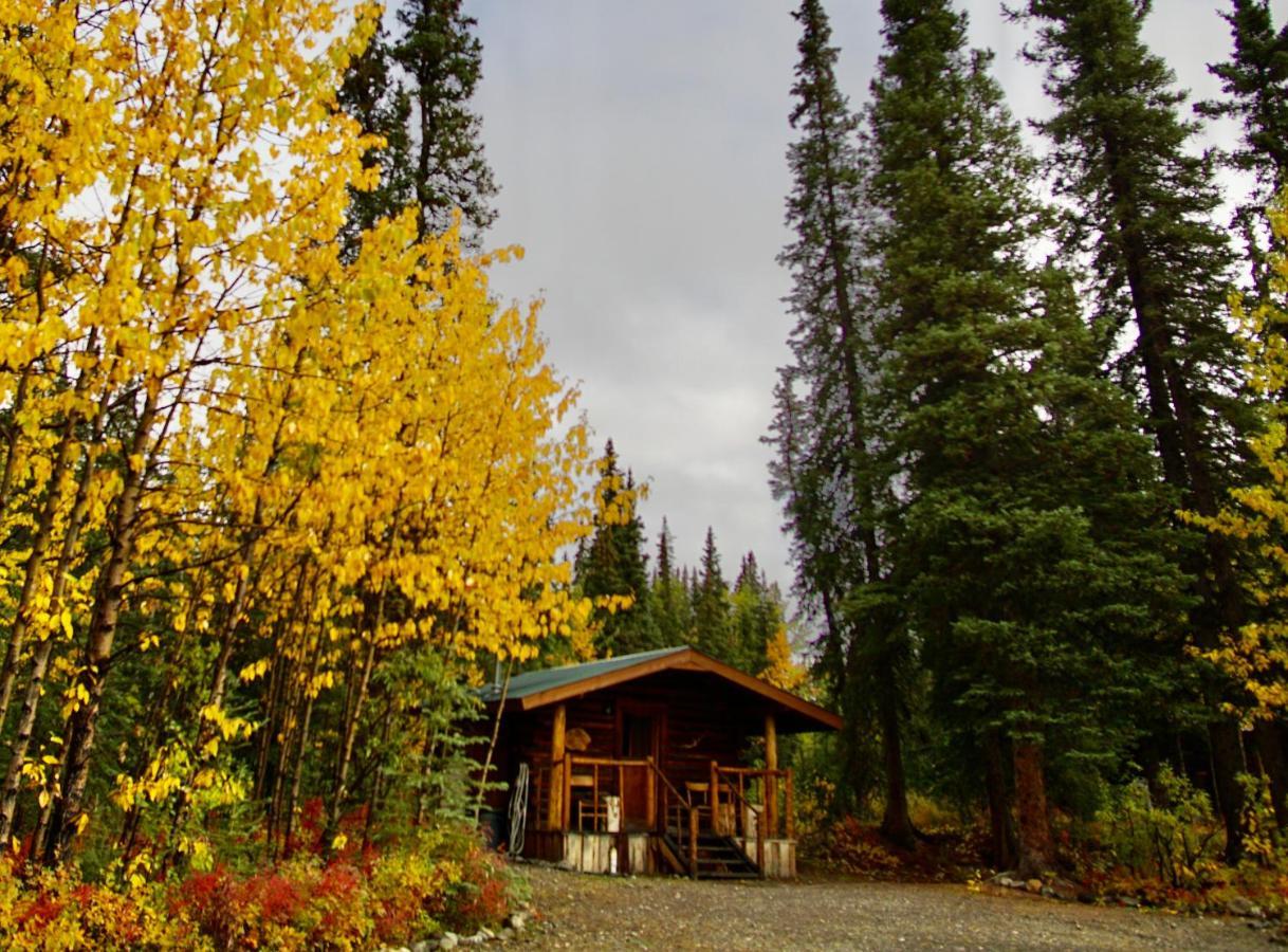 Villa Carlo Creek Cabins Denali Park Exterior foto