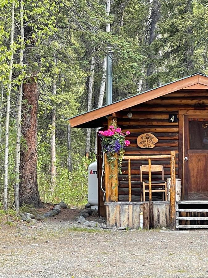 Villa Carlo Creek Cabins Denali Park Exterior foto