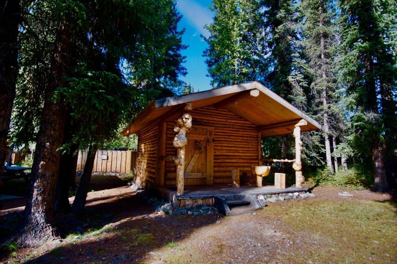 Villa Carlo Creek Cabins Denali Park Exterior foto