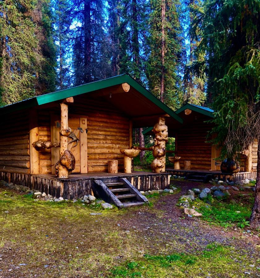 Villa Carlo Creek Cabins Denali Park Exterior foto