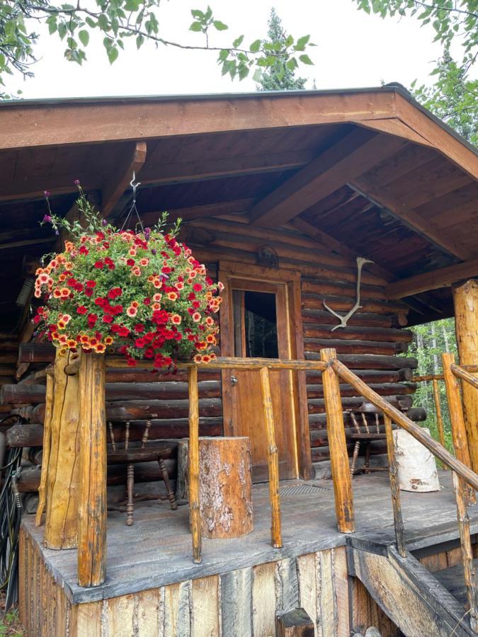 Villa Carlo Creek Cabins Denali Park Exterior foto