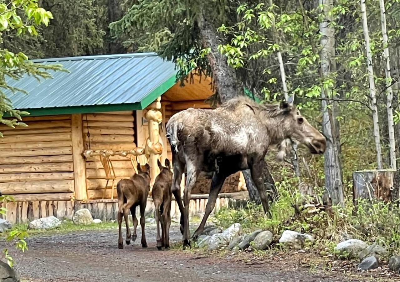 Villa Carlo Creek Cabins Denali Park Exterior foto