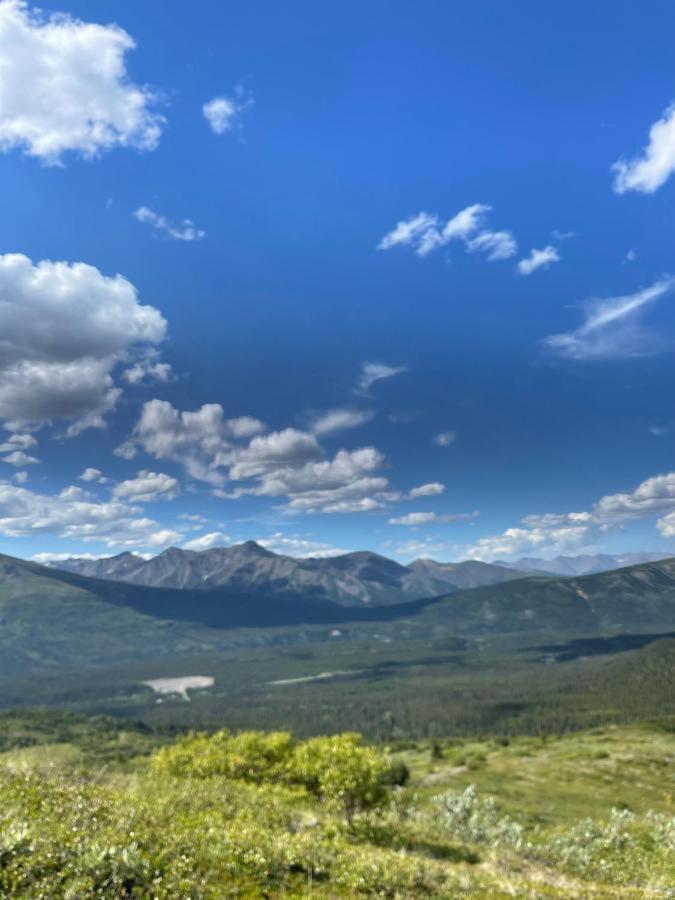 Villa Carlo Creek Cabins Denali Park Exterior foto