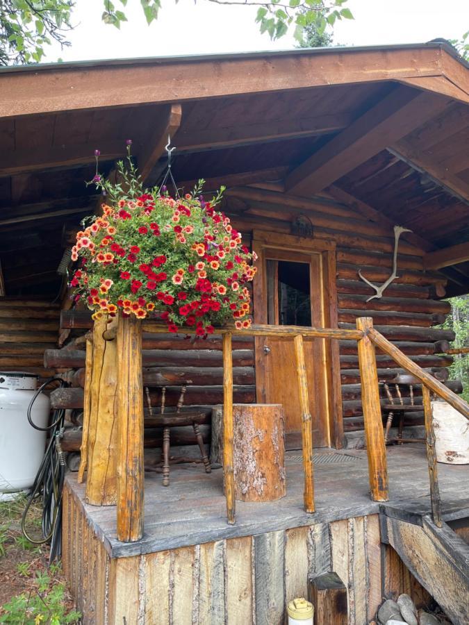 Villa Carlo Creek Cabins Denali Park Exterior foto