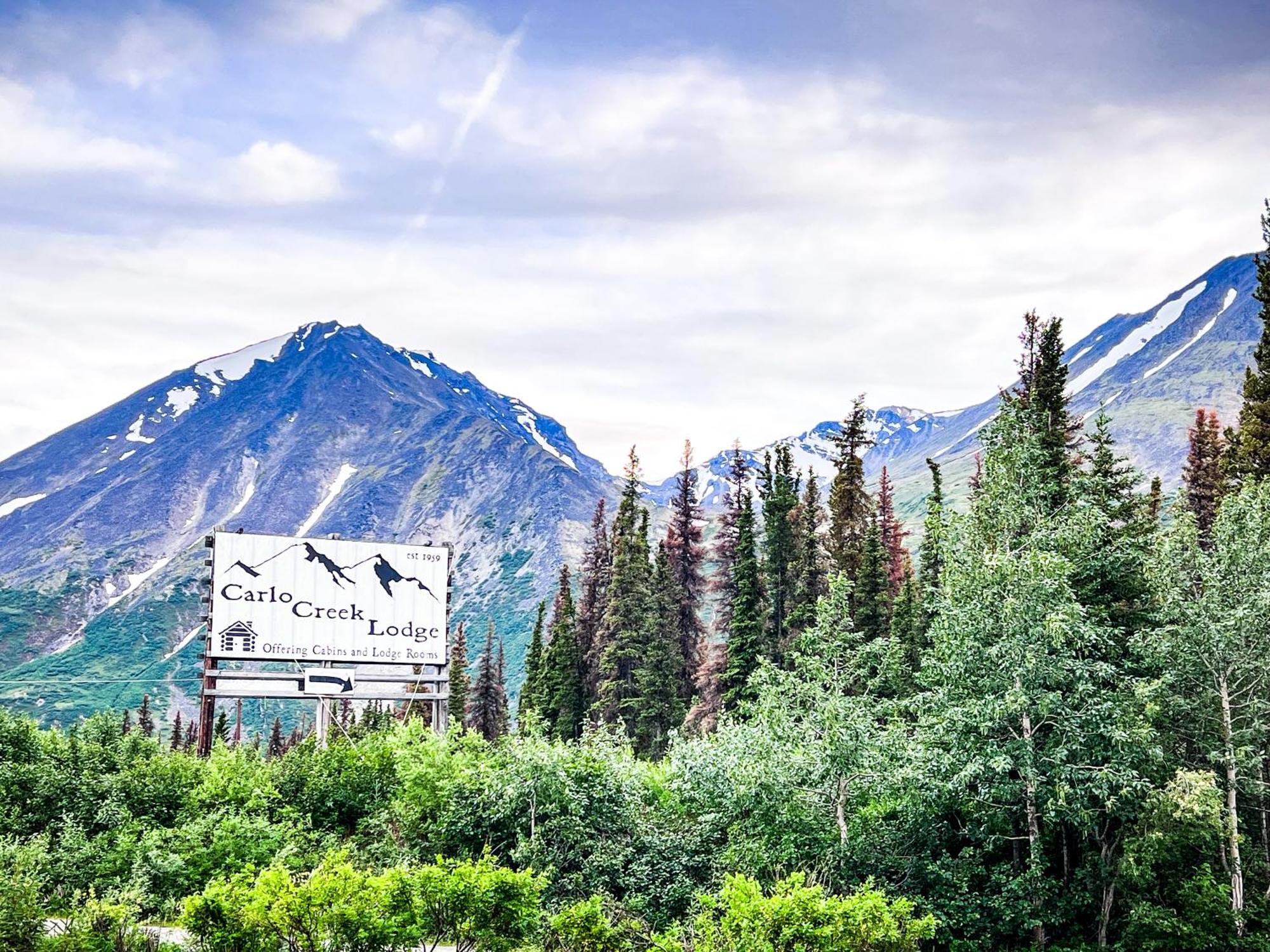Carlo Creek Cabins Denali Park Exterior foto