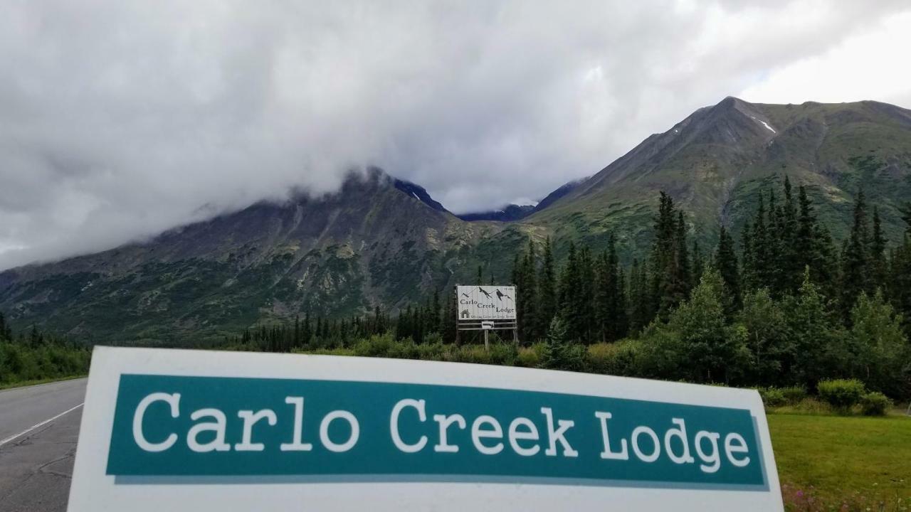 Villa Carlo Creek Cabins Denali Park Exterior foto