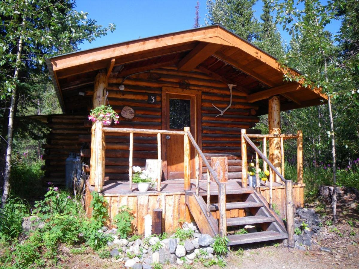 Villa Carlo Creek Cabins Denali Park Exterior foto